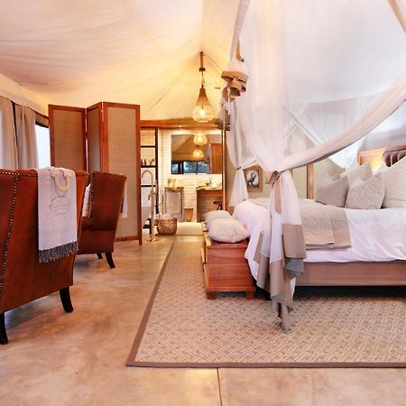 Thabamati Luxury Tented Camp Timbavati Game Reserve Extérieur photo