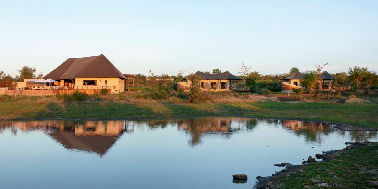 Thabamati Luxury Tented Camp Timbavati Game Reserve Extérieur photo